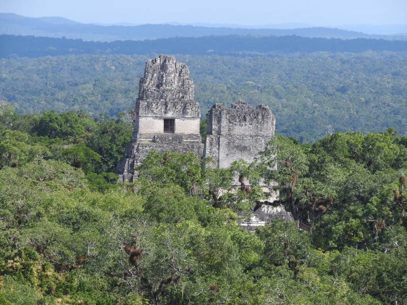 61 Parque Nacional Tikal